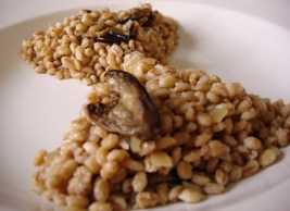 Eggplant Barley 1